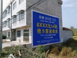 吴起墙体广告质量分析